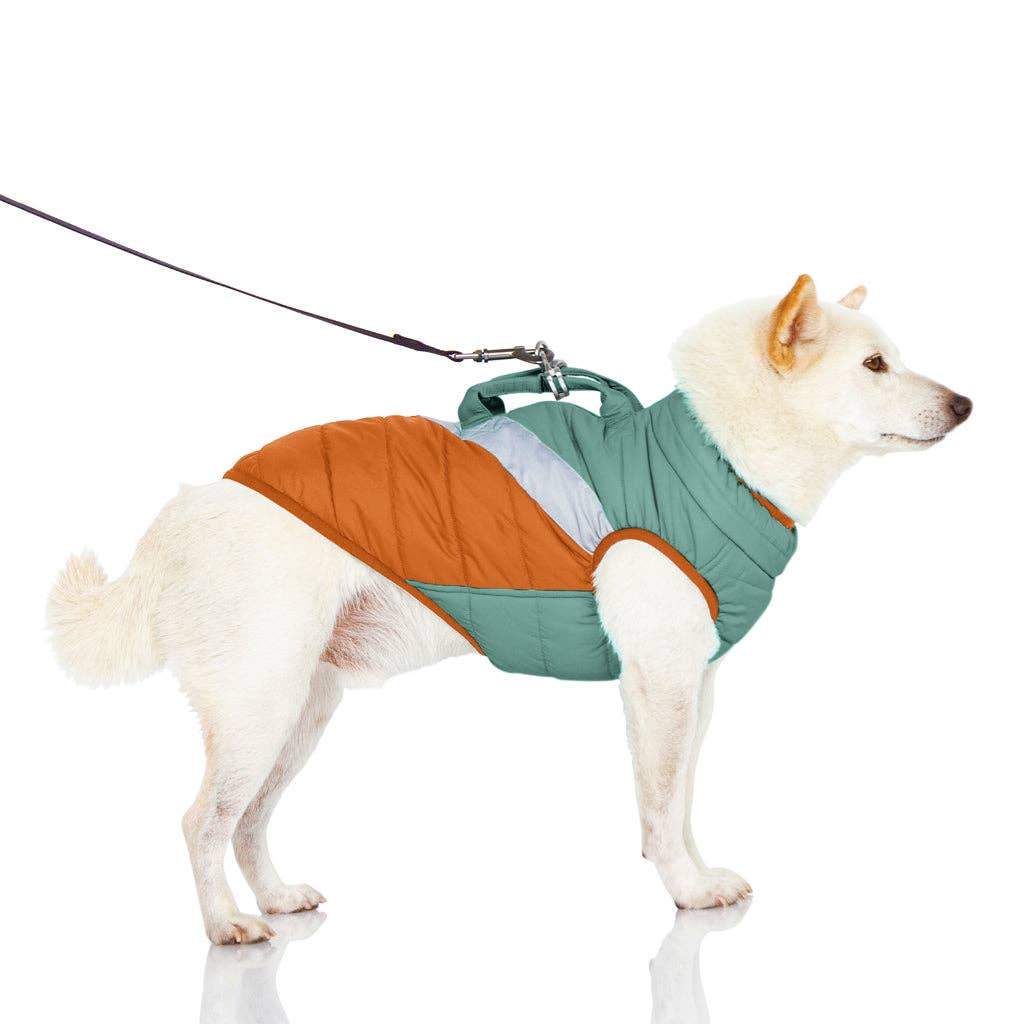 Gooby - Mountaineer Jacket #74211 - Dog.Dog.Cat.
