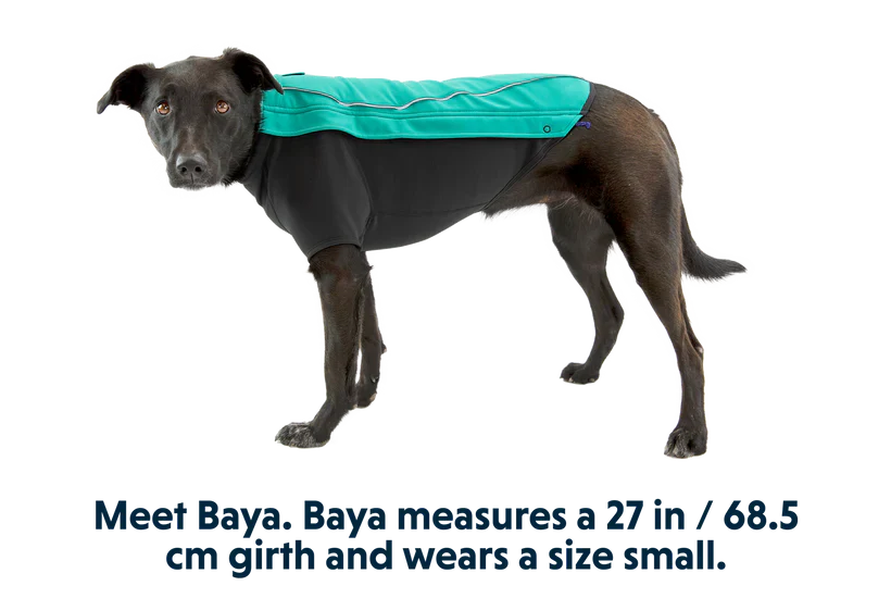 Ruffwear Cloud Chaser - Aurora Teal - Dog.Dog.Cat.