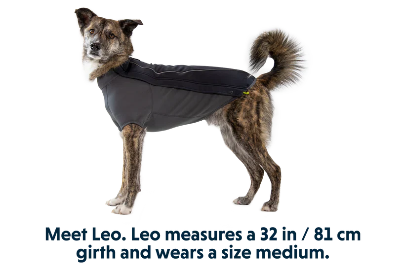 Ruffwear Cloud Chaser Dog Jacket - Dog.Dog.Cat.