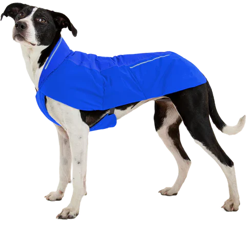 Ruffwear Vert™ Dog Jacket - Dog.Dog.Cat.