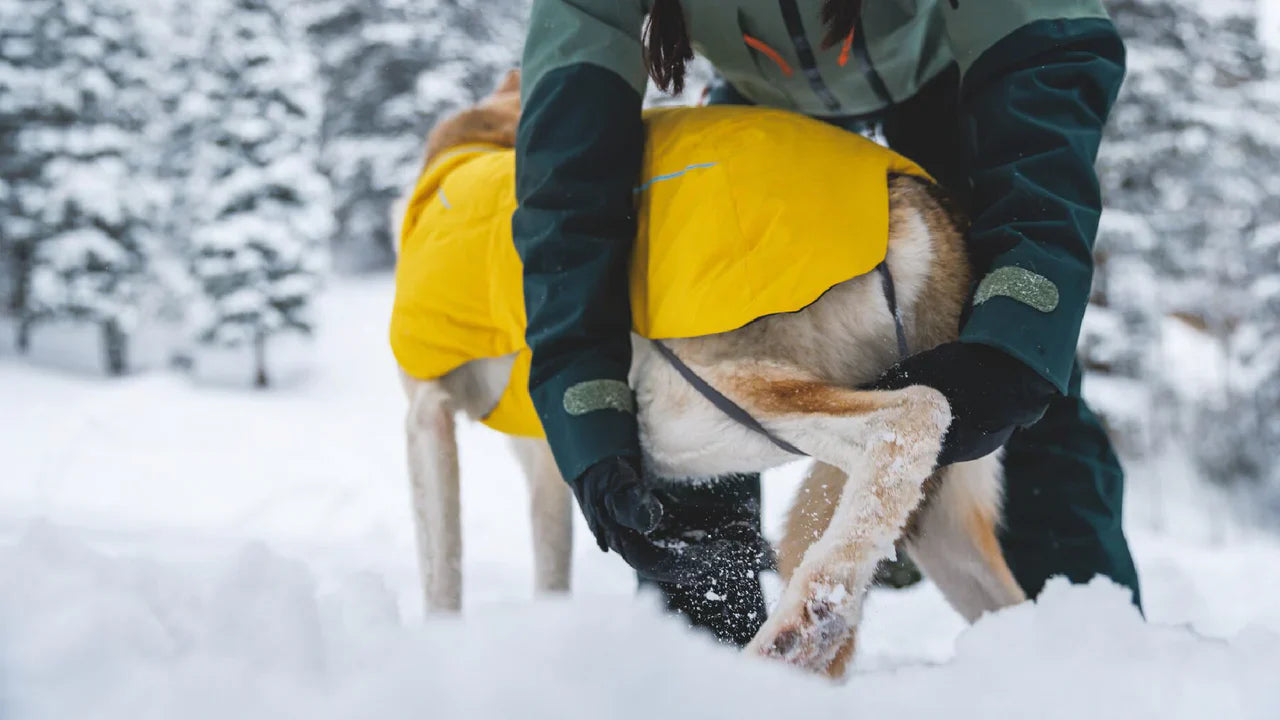 Ruffwear Vert™ Dog Jacket - Dog.Dog.Cat.