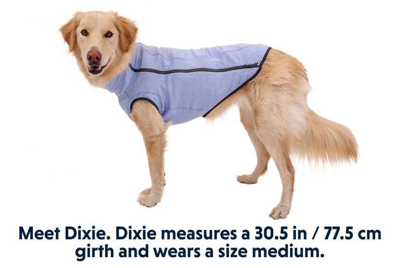 Ruffwear Hemp Hound Sweater - Fired Brick & Helio Purple - Dog.Dog.Cat.