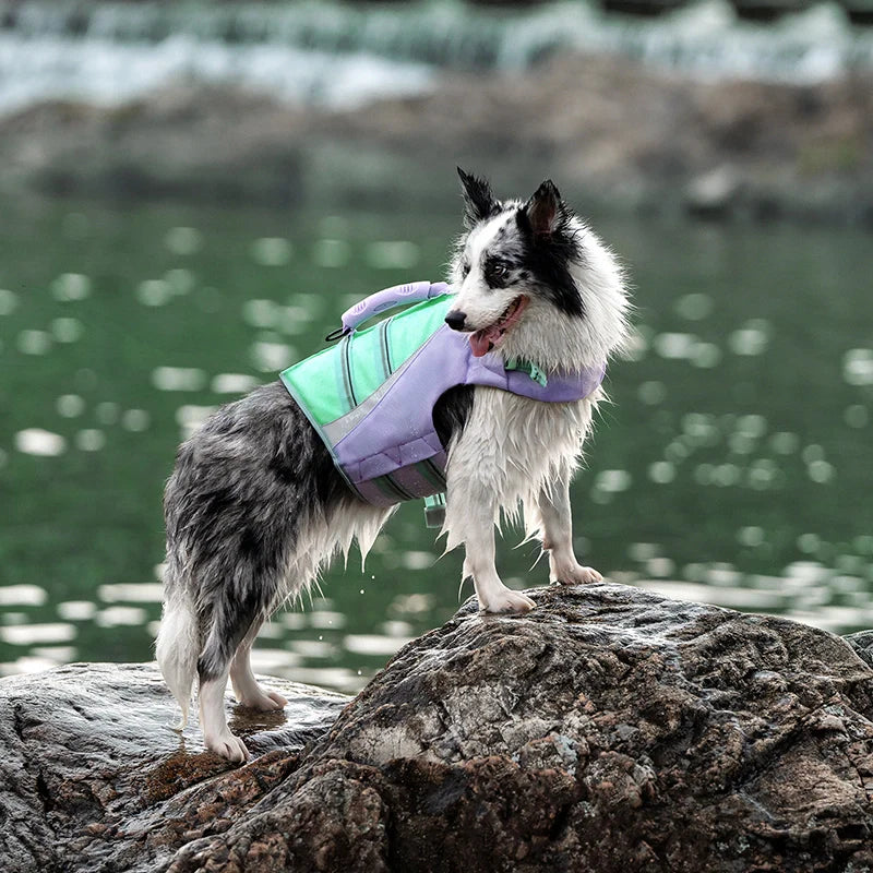 TrueLove Life Vest TLY1951 - Dog.Dog.Cat.