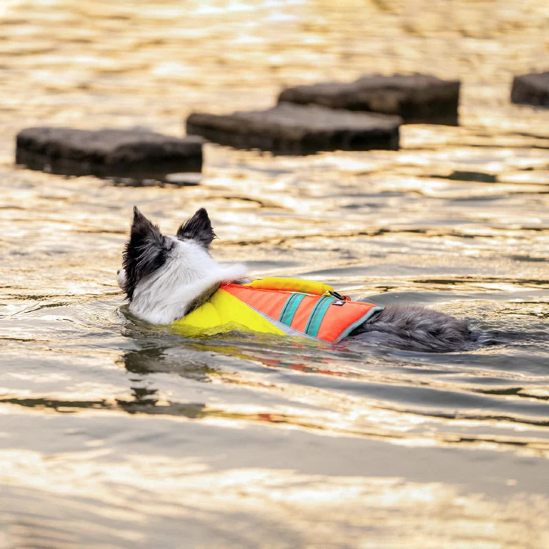 TrueLove Life Vest TLY1951 - Dog.Dog.Cat.