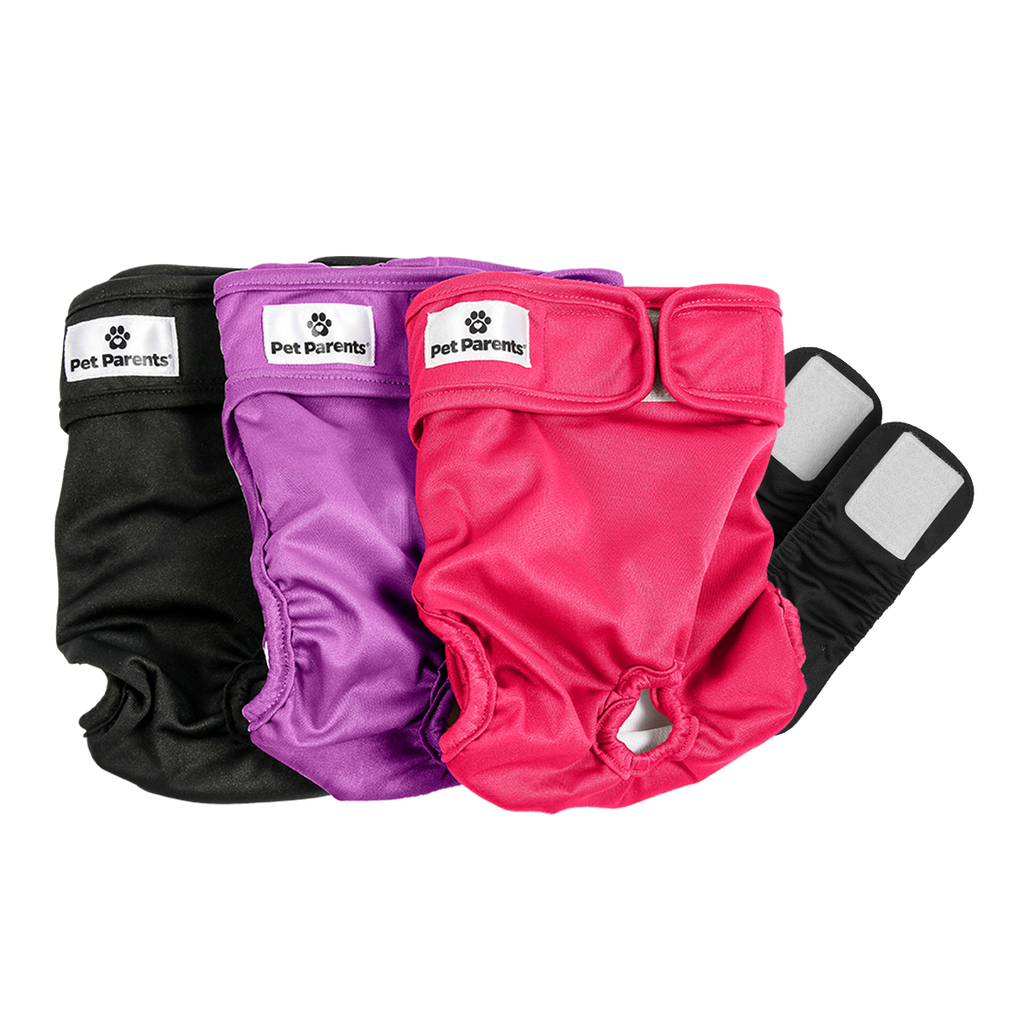 Pet Parents® - Dog Diapers (3-Pack) + Extendrs®, Washable Dog Diapers - Dog.Dog.Cat.