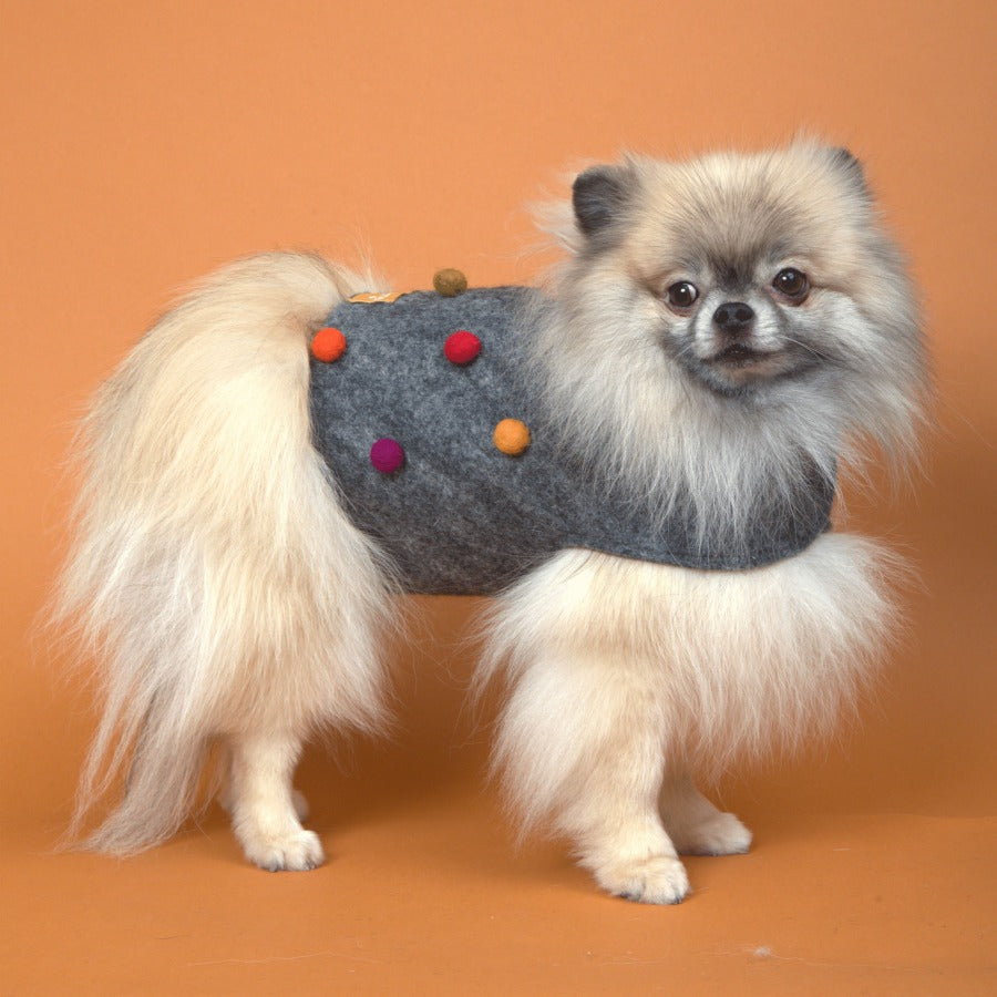Polka Dots Cape Dog Coat -Grey/Jewel 100% Wool - Dog.Dog.Cat.