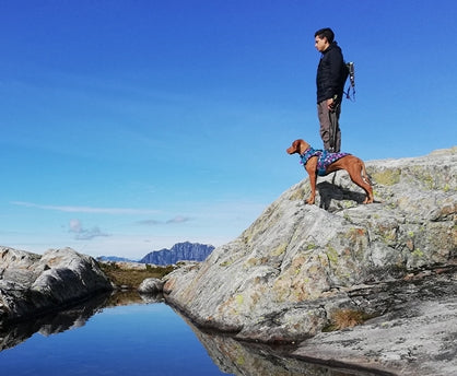 RC Pet Shasta Coat - Dog.Dog.Cat.