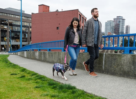 RC Pet Shasta Coat - Dog.Dog.Cat.