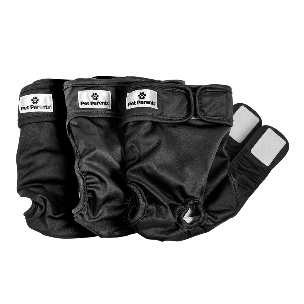 Pet Parents® - Dog Diapers (3-Pack) + Extendrs®, Washable Dog Diapers - Dog.Dog.Cat.