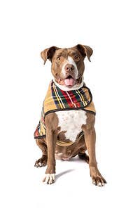 Chilly Dog Dog Blanket Coat Tan Tartan - Dog.Dog.Cat.