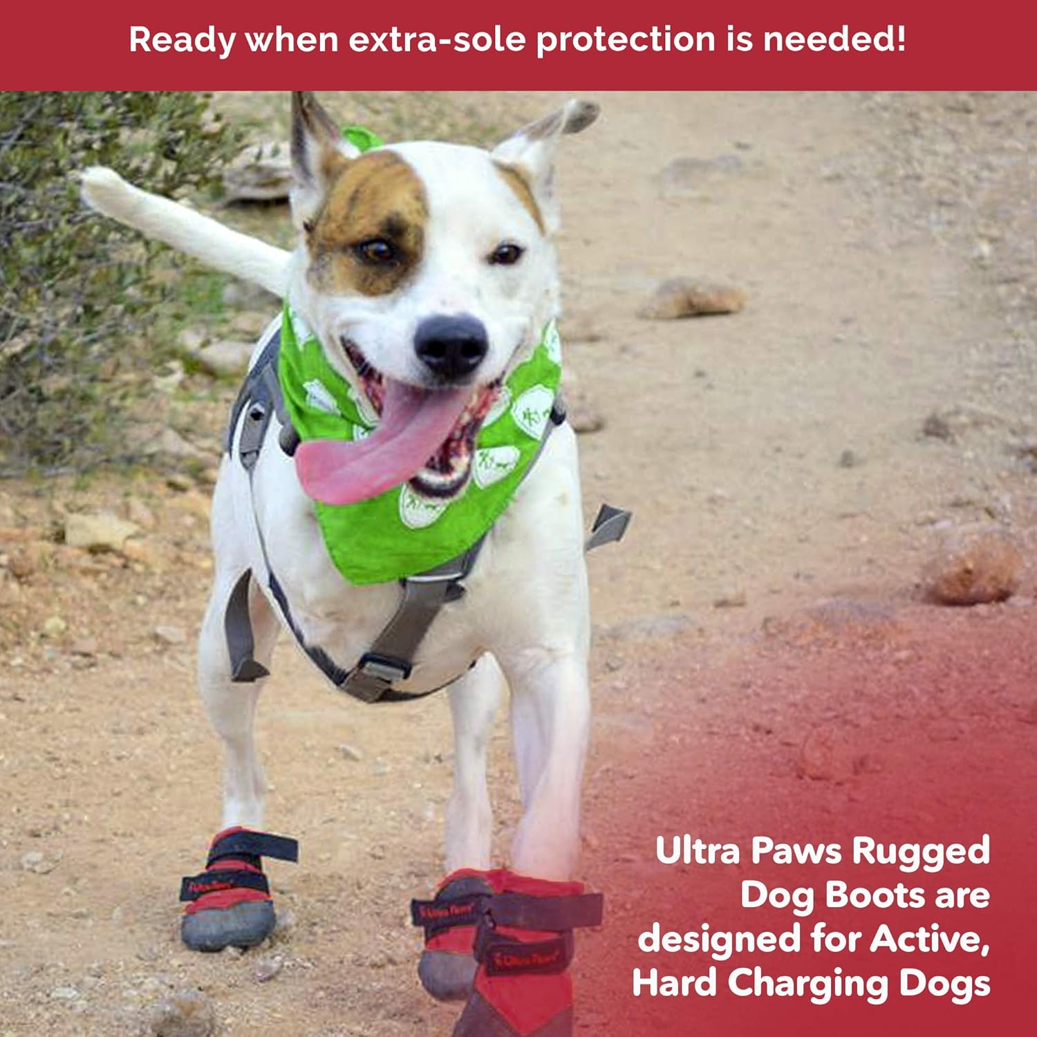Ultra Paws Dog Boots (4boots) - Rugged Red - Dog.Dog.Cat.