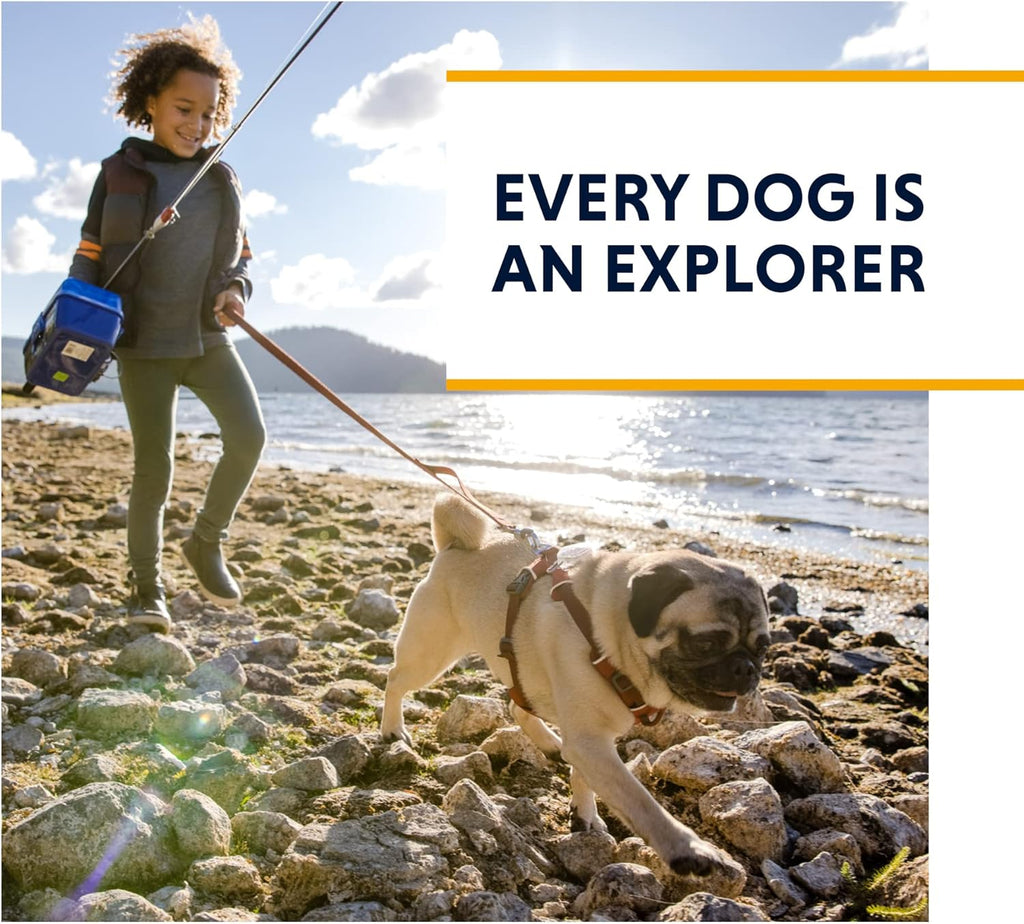 Ruffwear Grip Trex Boot x 2 Red Sumac - Dog.Dog.Cat.