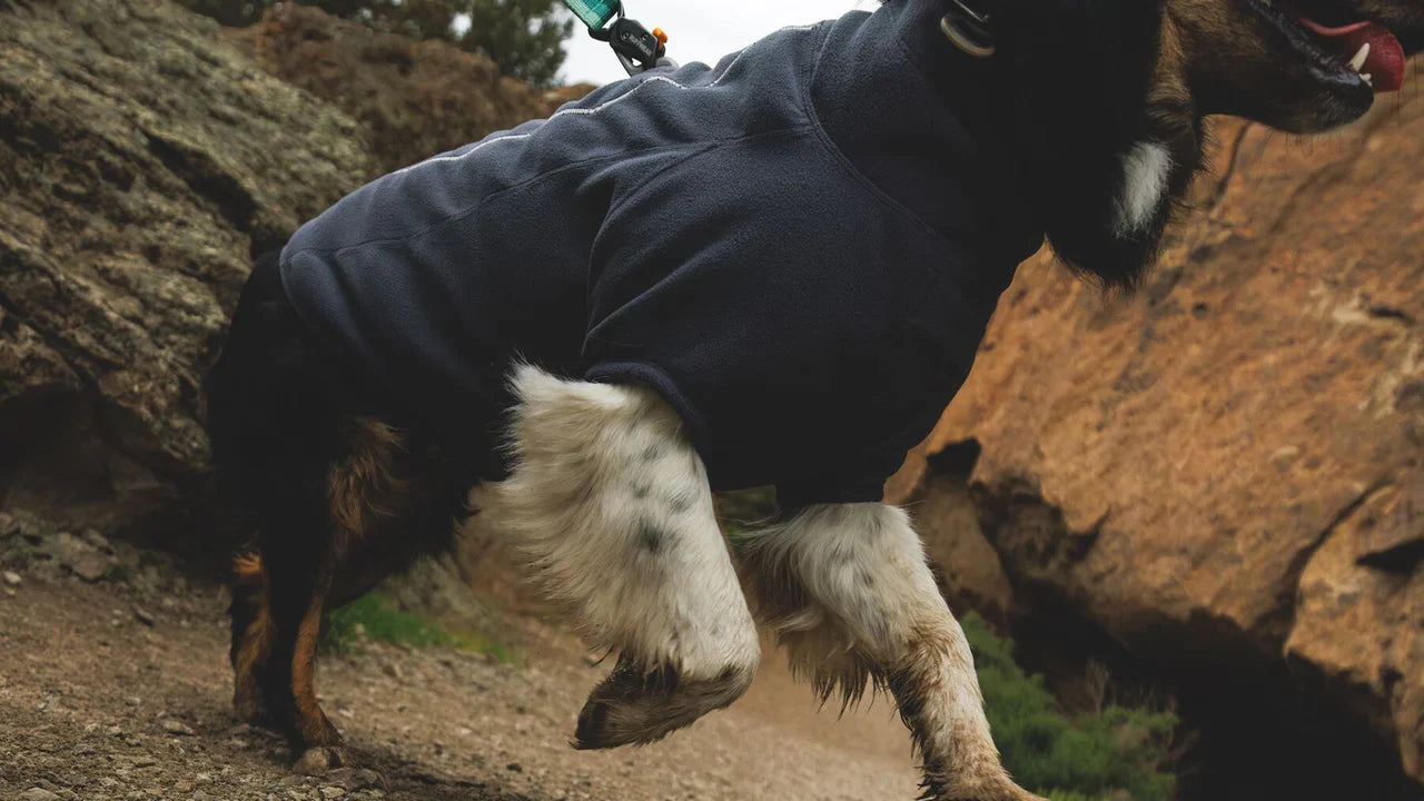 Climate Changer™ Fleece Jacket Technical, Breathable Fleece Jacket - Dog.Dog.Cat.