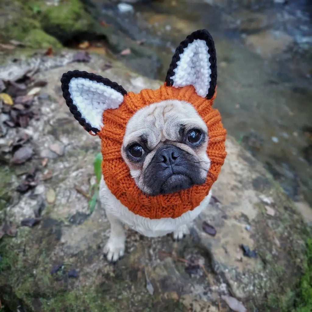 Knitted Dog Hat for Dogs - Dog.Dog.Cat.
