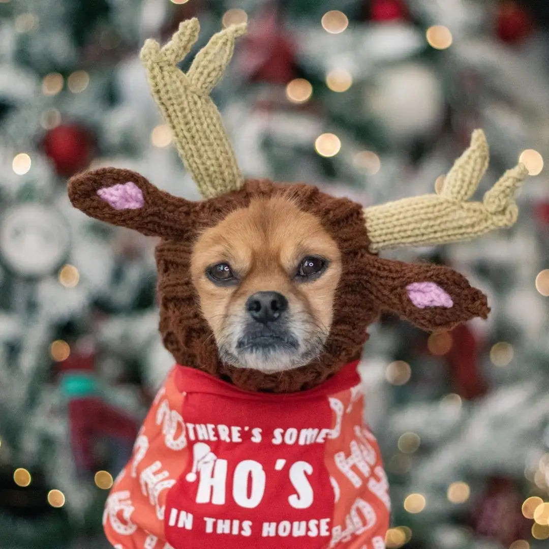 Knitted Dog Hat for Dogs - Dog.Dog.Cat.
