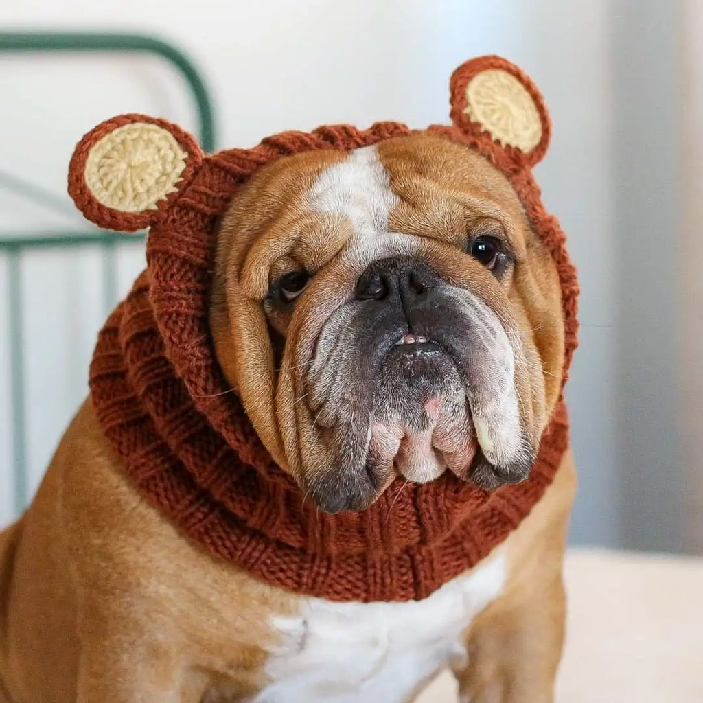 Knitted Dog Hat for Dogs - Dog.Dog.Cat.