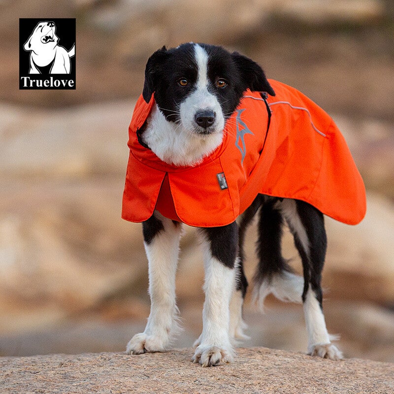 Truelove Waterproof Reflective Dog Winter Coat TLG2372 - Dog.Dog.Cat.