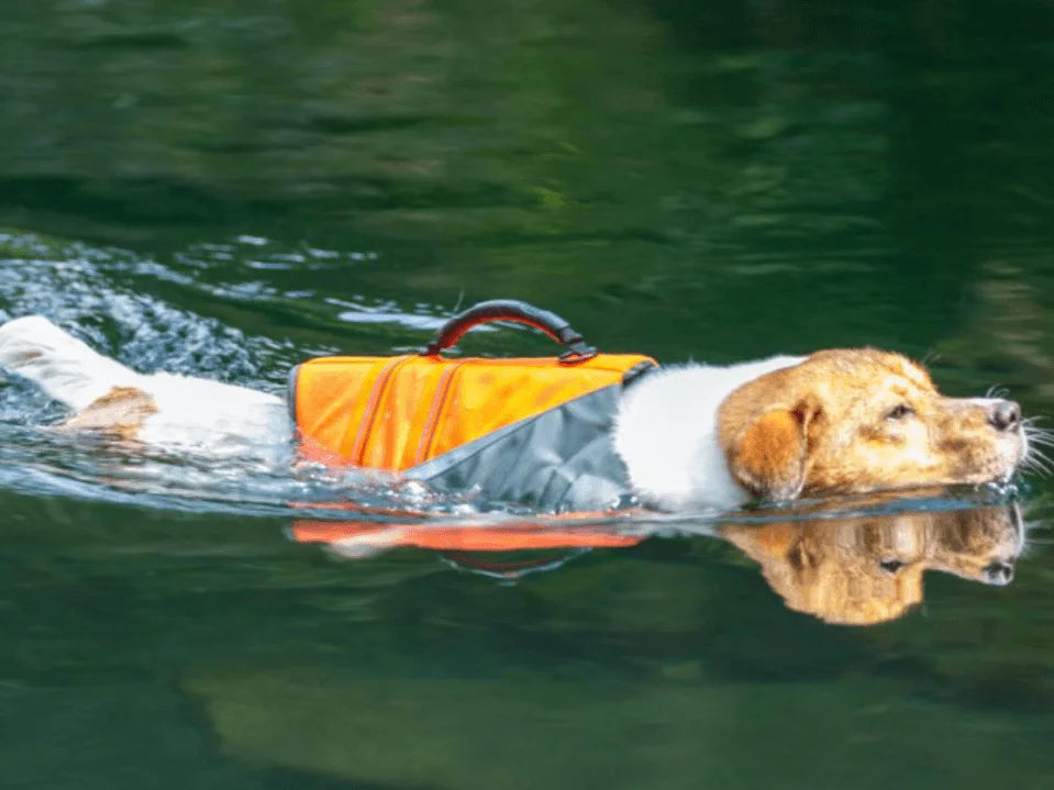 TrueLove Life Vest TLY1951 - Dog.Dog.Cat.