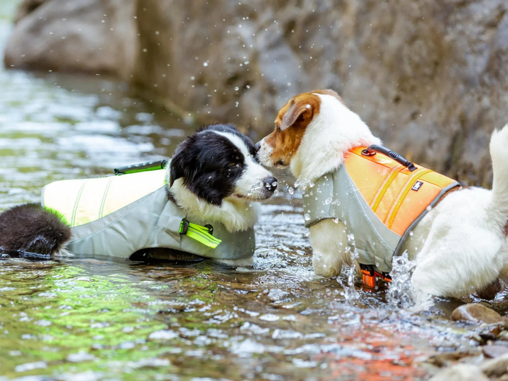 TrueLove Life Vest TLY1951 - Dog.Dog.Cat.