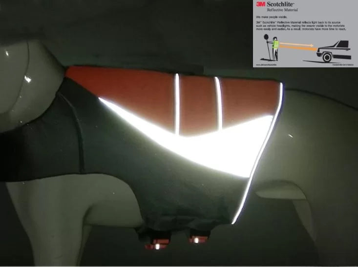 TrueLove Life Vest TLY1951 Orange - Dog.Dog.Cat.