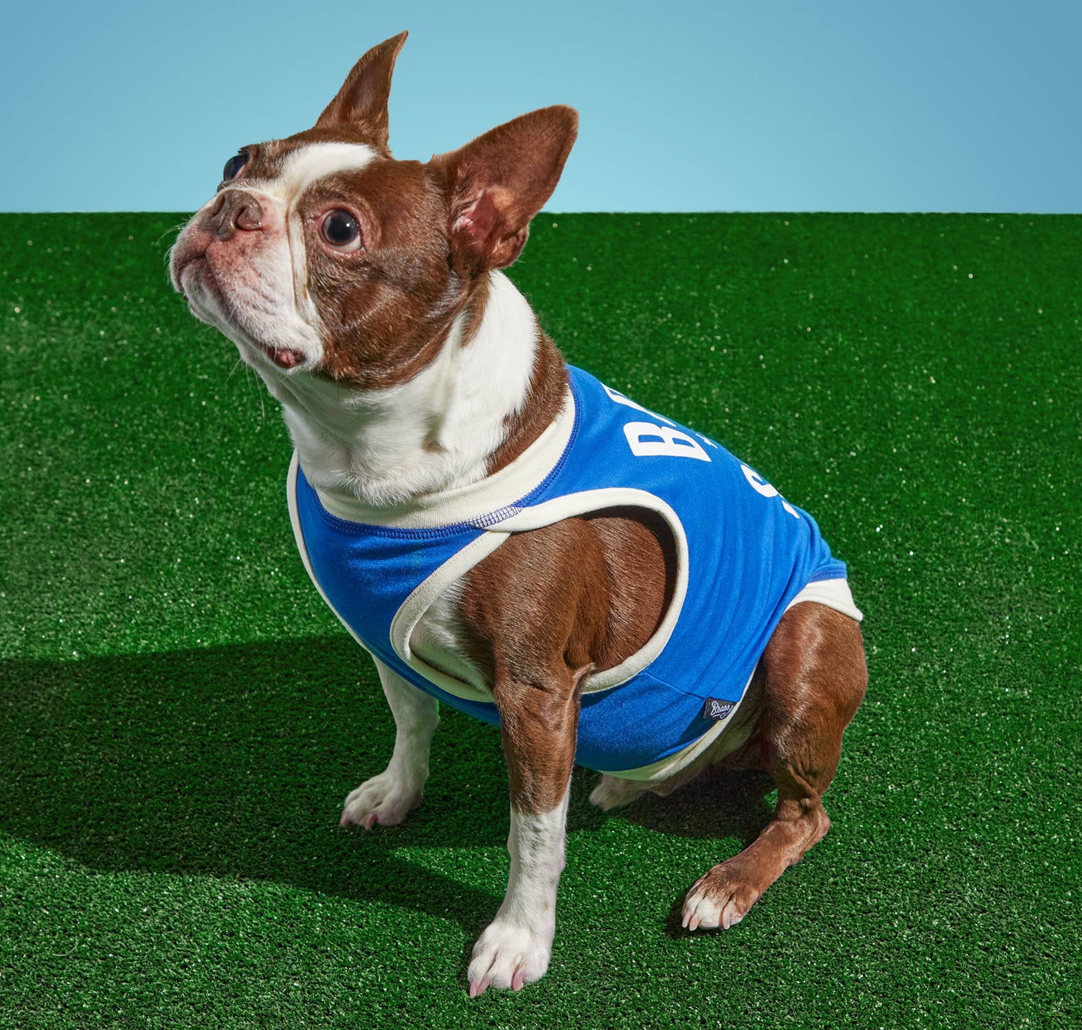 Brass Monkey - Born To Sleep Dog Tank - Dog.Dog.Cat.