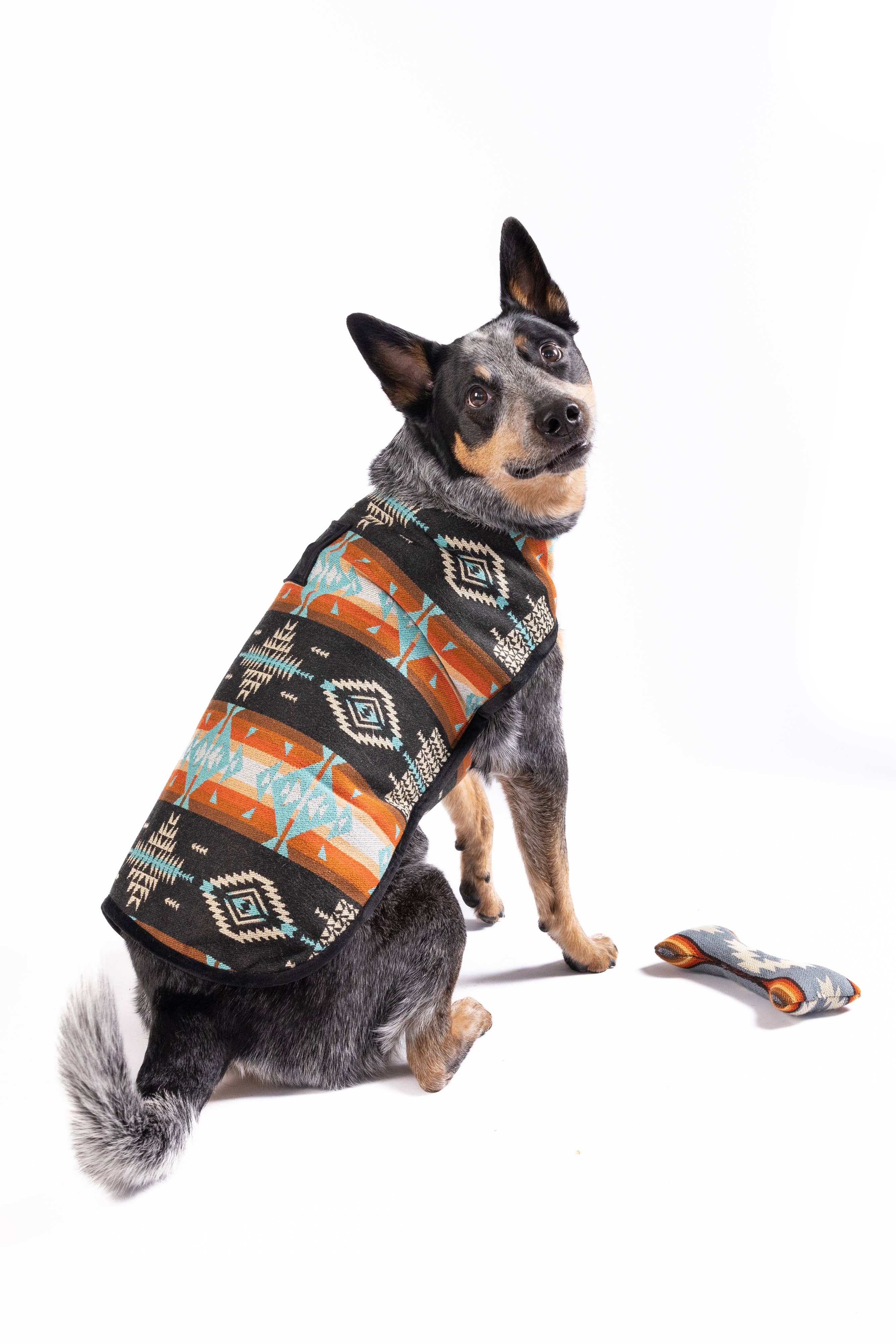 Chilly Dog Dog Blanket Coat - Black Canyon - Dog.Dog.Cat.