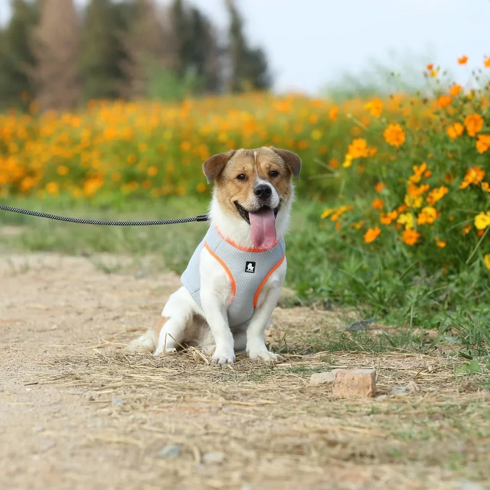 Truelove Cooling Vest TLG2511 Lightweight Evaporative Cooling Vest for Work and Sport - Dog.Dog.Cat.
