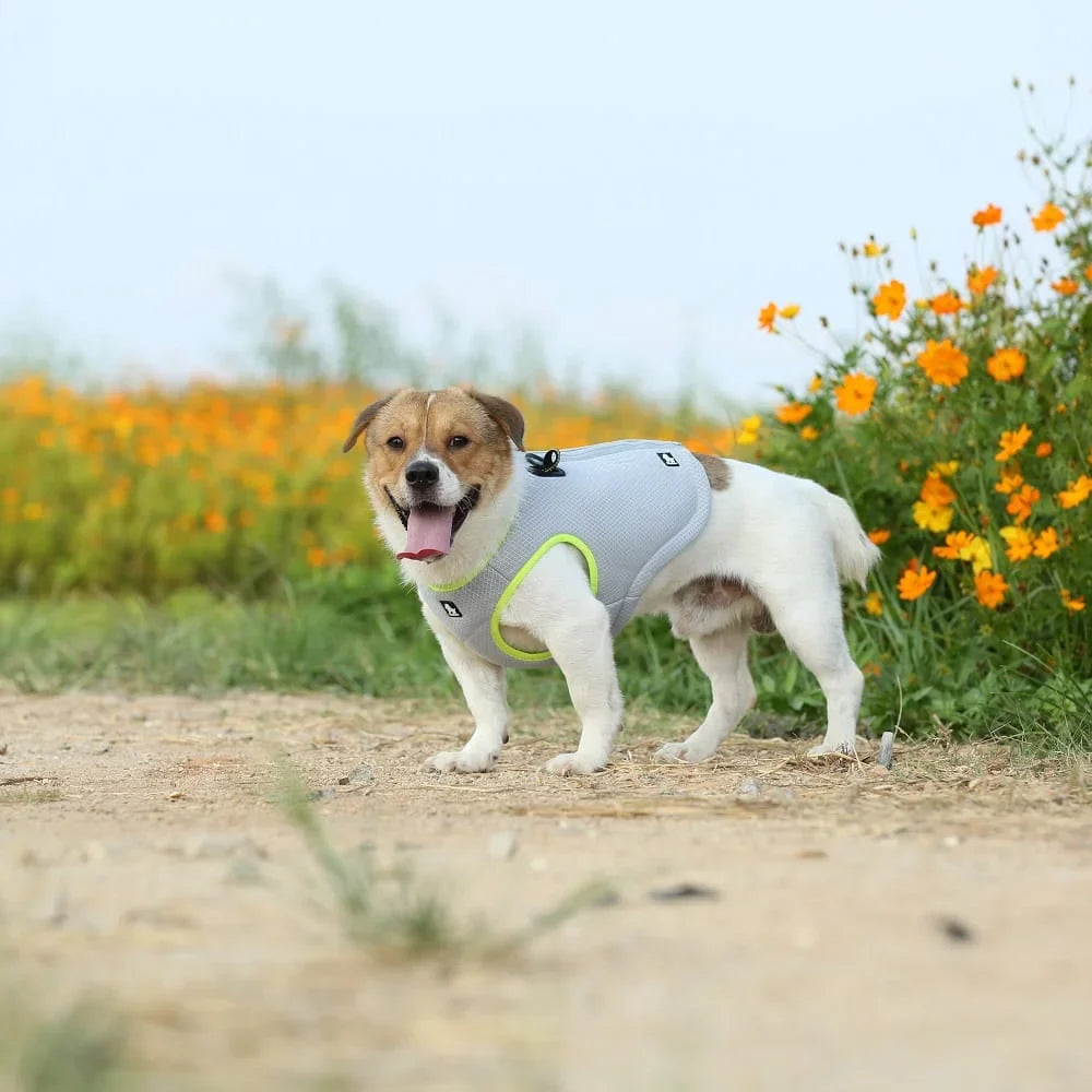 Truelove Cooling Vest TLG2511 Lightweight Evaporative Cooling Vest for Work and Sport - Dog.Dog.Cat.