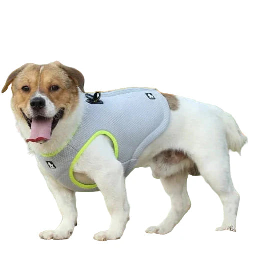Truelove Cooling Vest TLG2511 Lightweight Evaporative Cooling Vest for Work and Sport - Dog.Dog.Cat.
