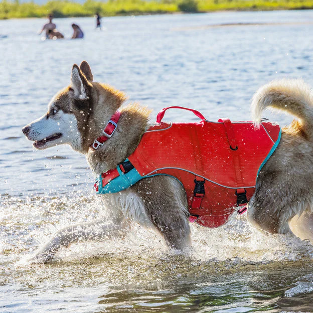 Surf N Turf Dog Life Jacket - Dog.Dog.Cat.